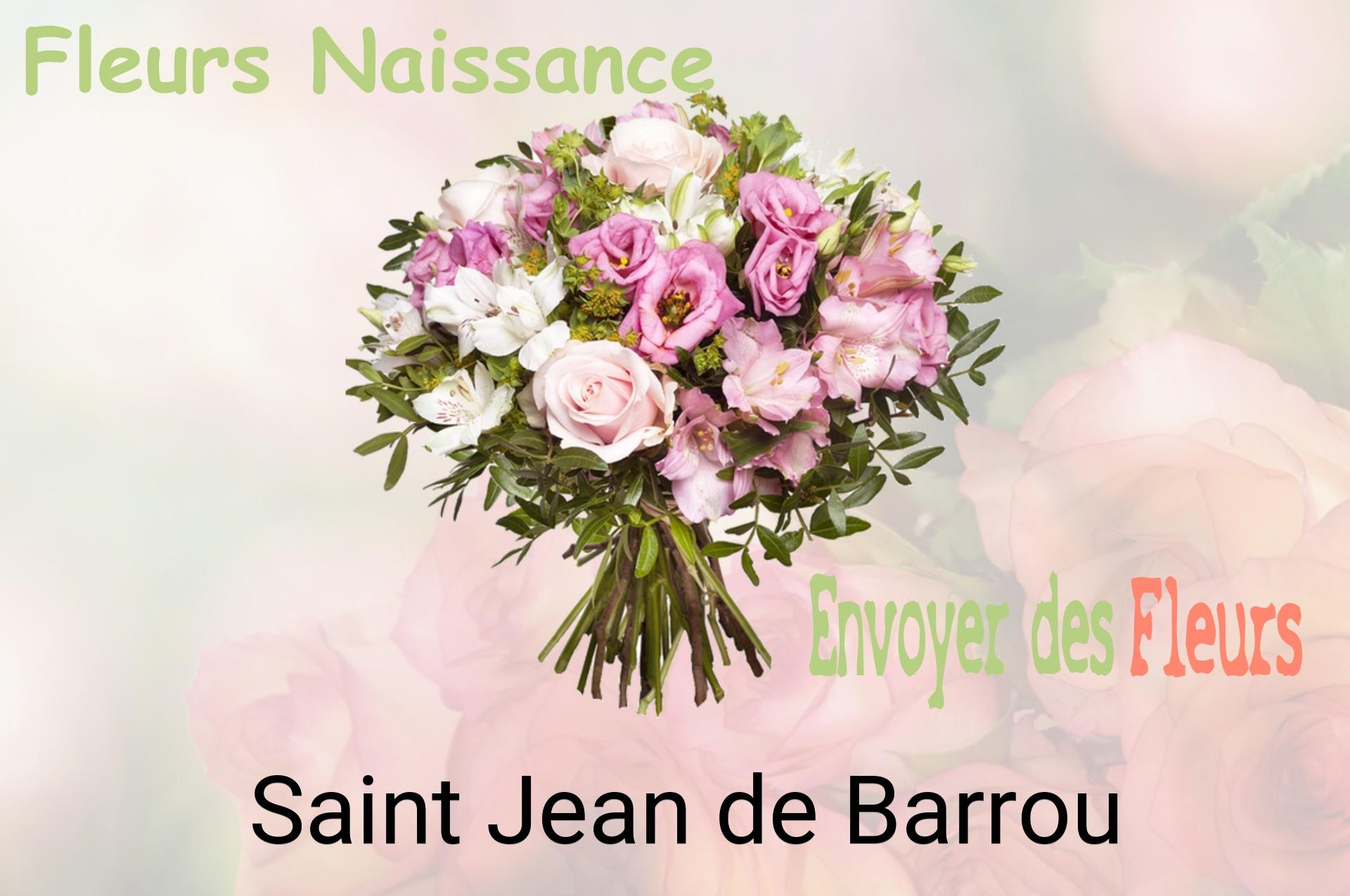 Bouquet de fleurs de naissance livré à Saint-Jean-de-Barrou