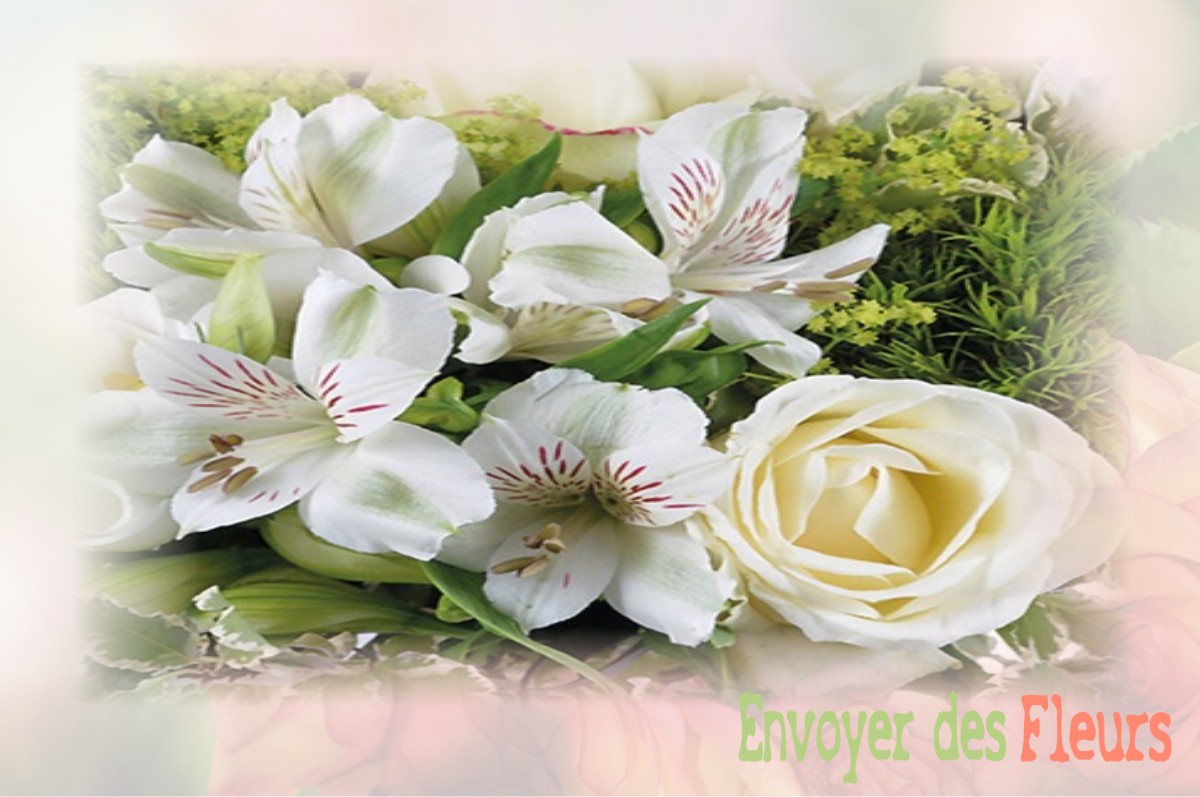 envoyer des fleurs à à SAINT-JEAN-DE-BARROU